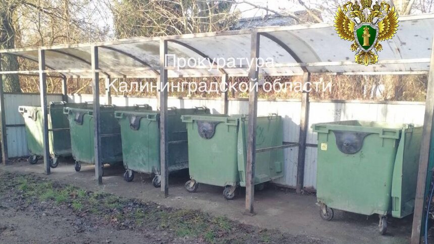 После жалоб местных жителей в Зеленоградском районе убрали свалку на контейнерной площадке - Новости Калининграда | Фото: прокуратура Калининградской области 