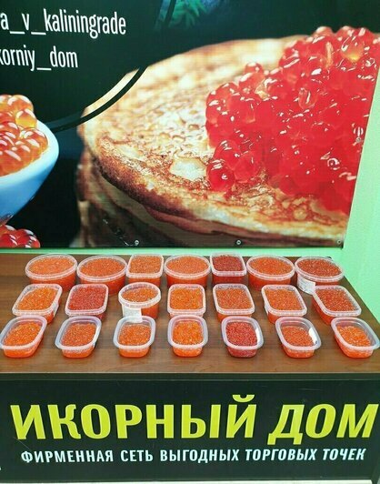 Где в Калининграде купить настоящую красную икру по вкусной цене к Новому году - Новости Калининграда
