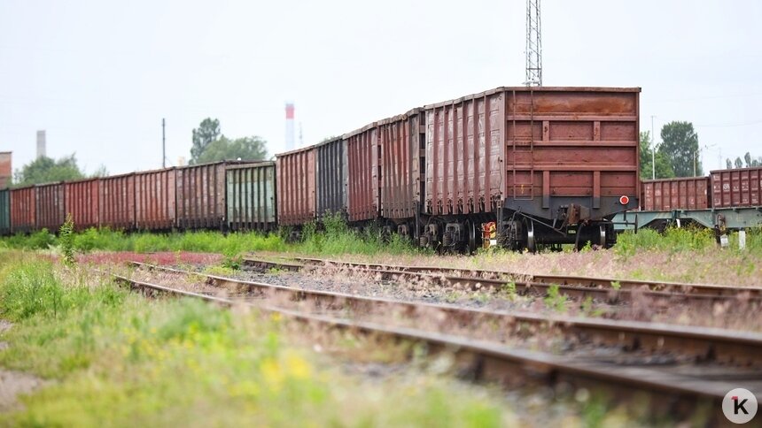 Попытки Литвы огранить транзит в Калининград грубо нарушают соглашение России и Евросоюза — сенатор   - Новости Калининграда | Фото: Александр Подгорчук / Архив «Клопс»