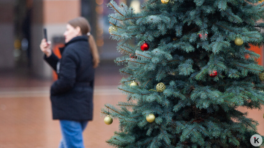 Город будет в тёплом, белом цвете: в Пионерском начали украшать курорт к Новому году - Новости Калининграда | Фото: Александр Подгорчук / Архив «Клопс»