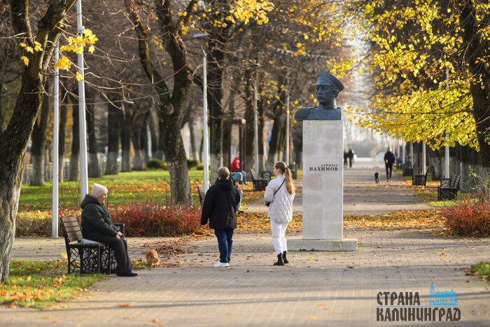 Светлый. Повседневность в кадре | Фото: Александр Мелехов