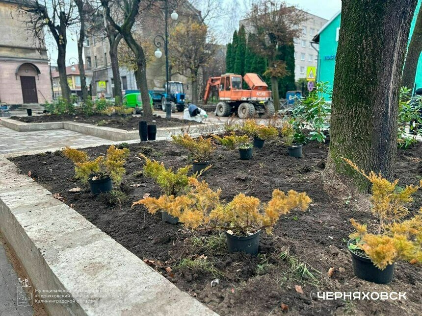 В каждом парке отдельный важный этап - озеленение. | Фото: страница Виктора Вобликова во «ВКонтакте» 