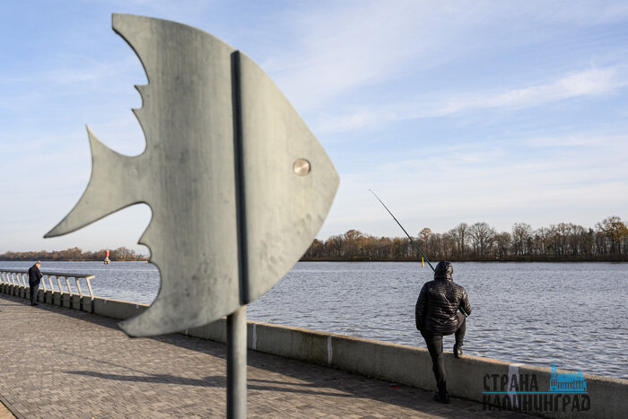 Светлый. Повседневность в кадре | Фото: Александр Мелехов