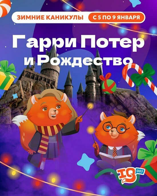 Отправь своего ребёнка в Хогвартс: открыт зимний лагерь «Гарри Поттер и Рождество» в Калининграде - Новости Калининграда