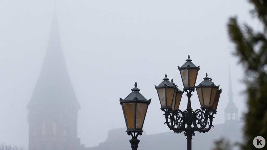 Погода в Калининграде и области в субботу  - Новости Калининграда | Фото: Александр Подгорчук / «Клопс»