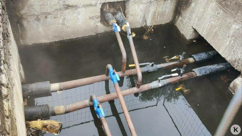 «Ловим комаров пылесосом»: из-за затопленного подвала в жилом доме в Калининграде — вонь и тучи насекомых (видео)   - Новости Калининграда | Фото: очевидец