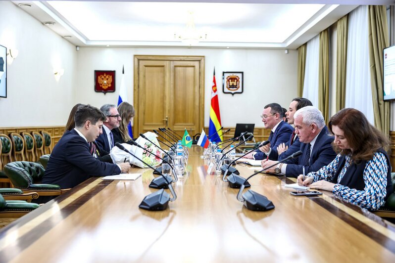 Калининградская область будет наращивать экономическое сотрудничество с Бразилией — власти  - Новости Калининграда | Фото: правительство Калининградской области 