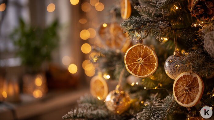 Шишки, янтарь и шерстяные пледы: как украсить дом к Новому году в модном калининградском стиле (фото)    - Новости Калининграда | Иллюстрация: Ксения Александрова / «Клопс»