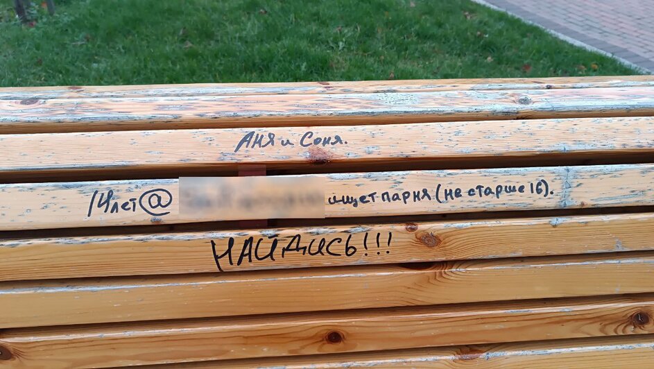 Мэрия пристыдила калининградцев, которые вынуждают лавочки покидать скверы и парки (фото)  - Новости Калининграда | Фото: администрация Калининграда 