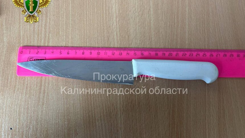 С жителя Гвардейского района, который ранил ножом защищавшего мать ребёнка, требуют компенсацию - Новости Калининграда | Фото: прокуратура Калининградской области 
