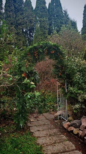 В калининградском ботаническом саду открылся портал в Нарнию (фото)   - Новости Калининграда | Фото: Ботсад БФУ им. И. Канта