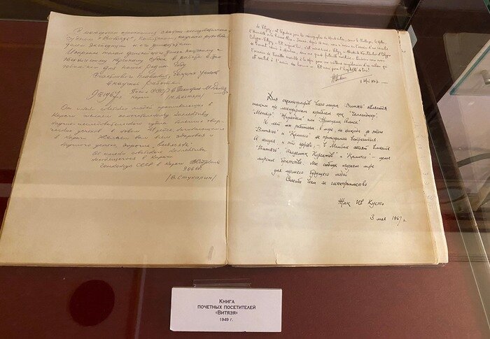 Музей Мирового океана представит выставку «Капитан Кусто в России» - Новости Калининграда