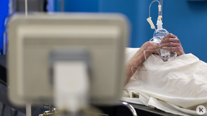 В США скончался первый заразившийся штаммом птичьего гриппа H5N5   - Новости Калининграда | Фото: Александр Подгорчук / Архив «Клопс»