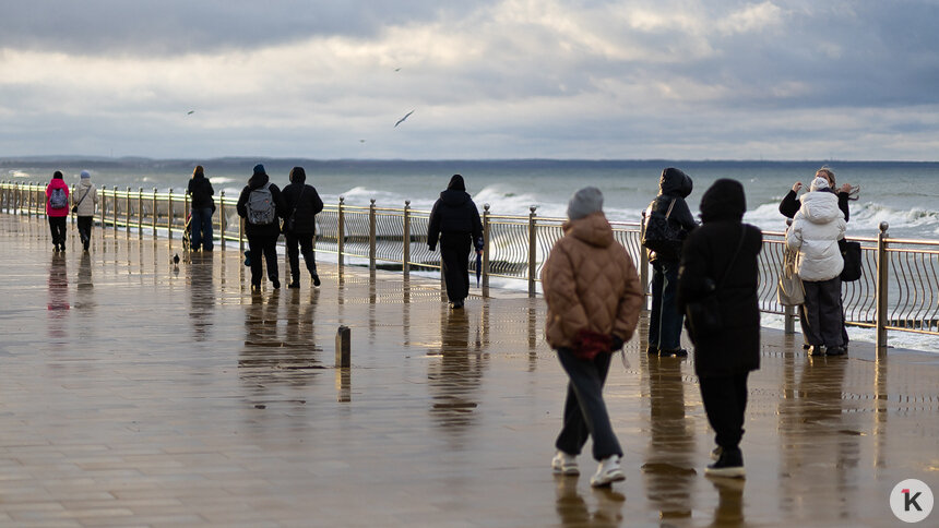 Синоптики рассказали, в каких районах Калининградской области ждать дождь и мокрый снег в субботу, 22 ноября   - Новости Калининграда | Фото: Александр Подгорчук / Архив «Клопс»