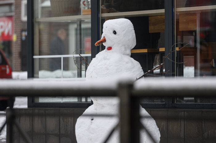 Когда зима приходит неожиданно: снег в Калининграде (фото) | Фото: Александр Мелехов