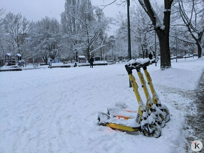 Дворники vs снег: противостояние стихии и коммунальных служб в Калининграде продолжается (фоторепортаж)   - Новости Калининграда | Фото: «Клопс»