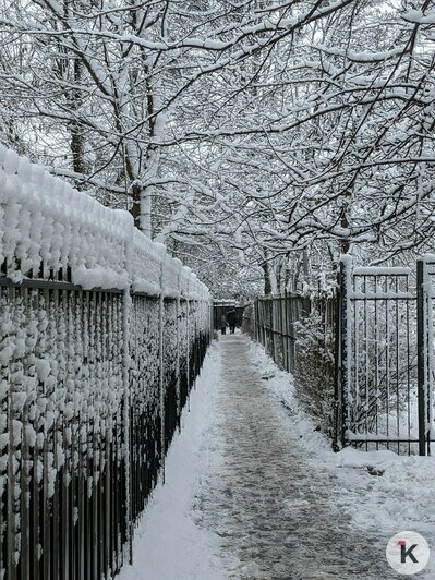 Дворники vs снег: противостояние стихии и коммунальных служб в Калининграде продолжается (фоторепортаж)   - Новости Калининграда | Фото: «Клопс»