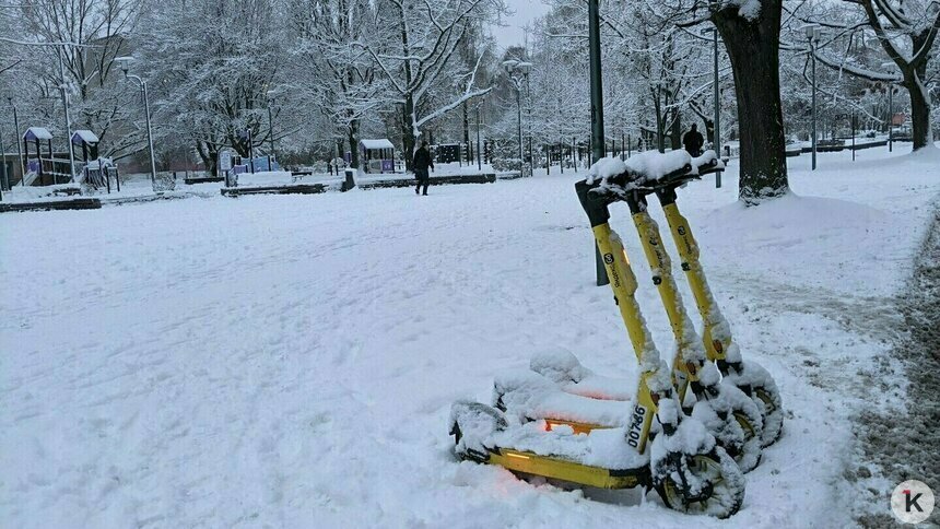 В Калининграде перестали работать арендные электросамокаты - Новости Калининграда | Фото: «Клопс»