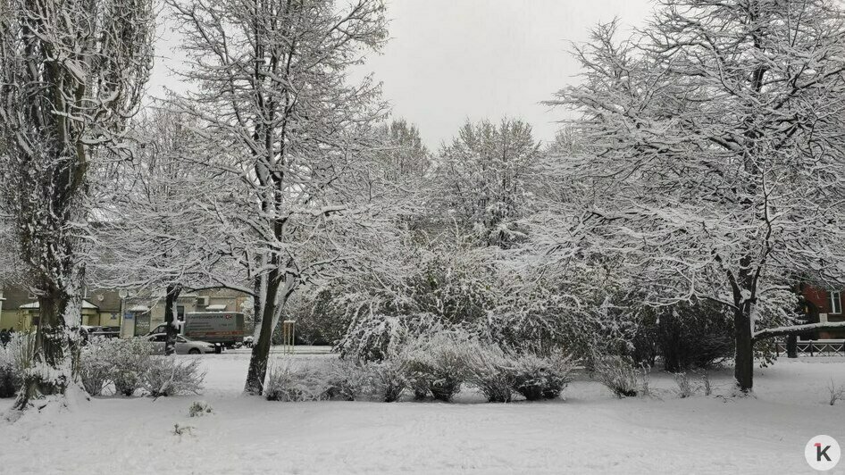 Дворники vs снег: противостояние стихии и коммунальных служб в Калининграде продолжается (фоторепортаж)   - Новости Калининграда | Фото: Владимир