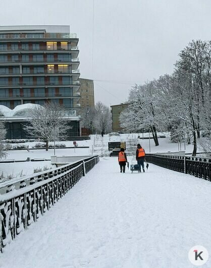 Дворники vs снег: противостояние стихии и коммунальных служб в Калининграде продолжается (фоторепортаж)   - Новости Калининграда | Фото: «Клопс»