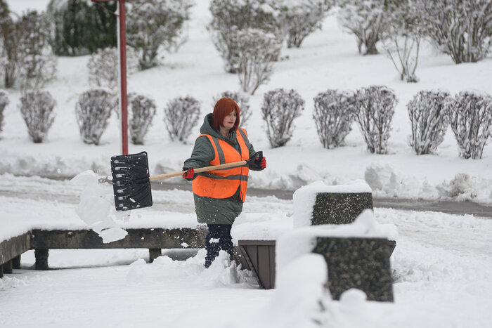 Когда зима приходит неожиданно: снег в Калининграде (фото) | Фото: Александр Мелехов