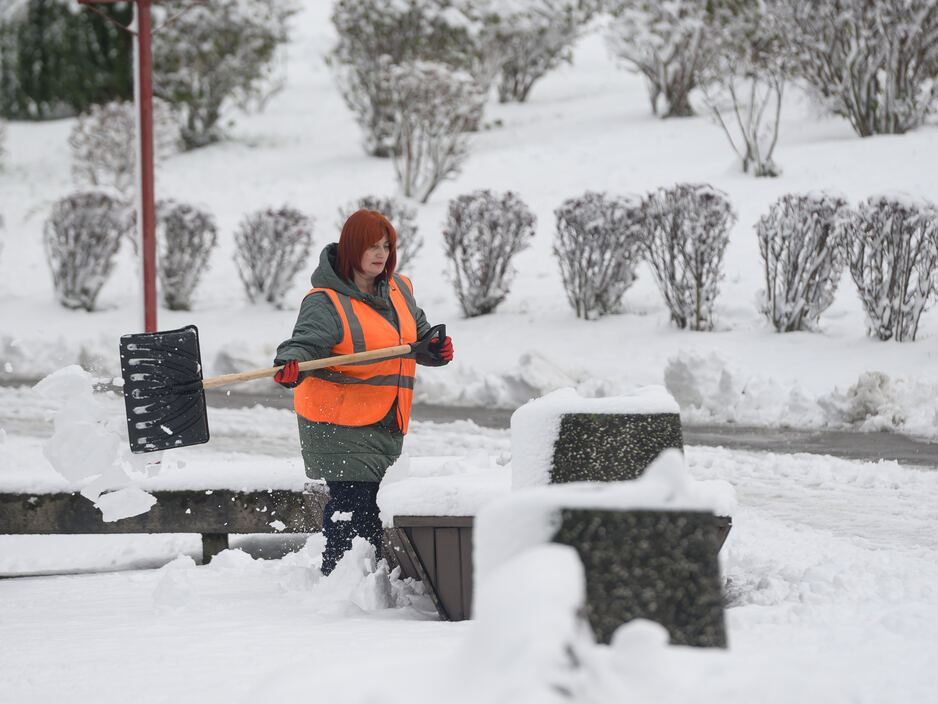 Когда зима приходит неожиданно: снег в Калининграде (фото)