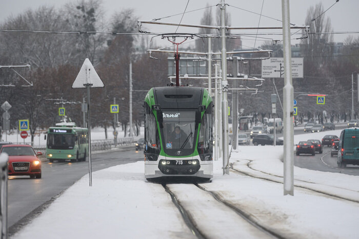 Когда зима приходит неожиданно: снег в Калининграде (фото) | Фото: Александр Мелехов