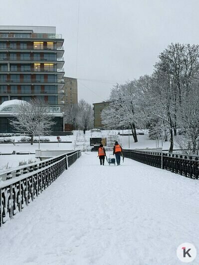 Дворники vs снег: противостояние стихии и коммунальных служб в Калининграде продолжается (фоторепортаж)   - Новости Калининграда | Фото: «Клопс»