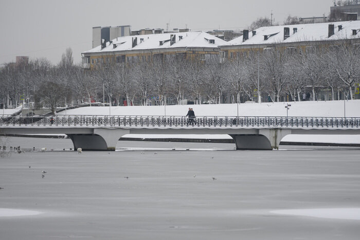Когда зима приходит неожиданно: снег в Калининграде (фото) | Фото: Александр Мелехов