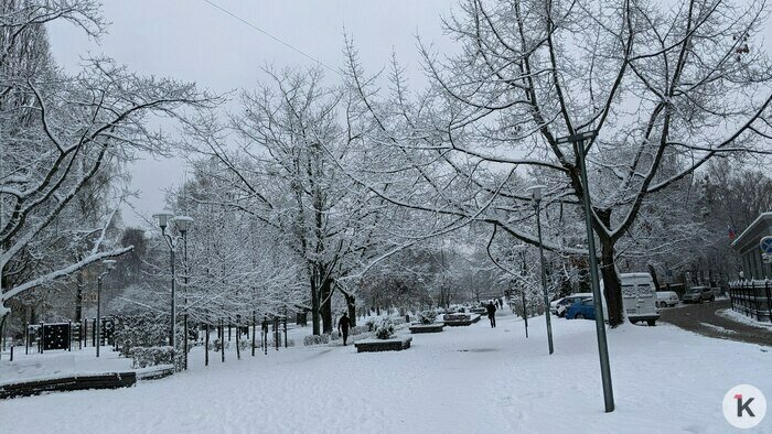 Дворники vs снег: противостояние стихии и коммунальных служб в Калининграде продолжается (фоторепортаж)   - Новости Калининграда | Фото: «Клопс»