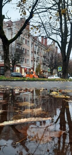 «В Калининграде грех работать, надо путешествовать»: уроженка Камчатки 9 лет ведёт дневник о прогулках по городу (фото) - Новости Калининграда | Фото: Наталья Гутенева