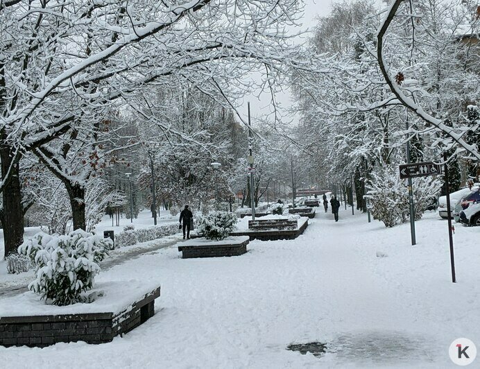 Дворники vs снег: противостояние стихии и коммунальных служб в Калининграде продолжается (фоторепортаж)   - Новости Калининграда | Фото: «Клопс»