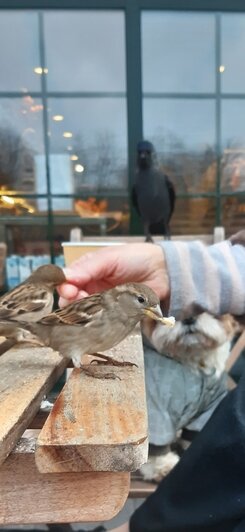 «В Калининграде грех работать, надо путешествовать»: уроженка Камчатки 9 лет ведёт дневник о прогулках по городу (фото) - Новости Калининграда | Фото: Наталья Гутенева