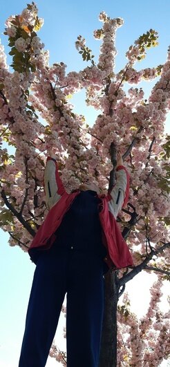 «В Калининграде грех работать, надо путешествовать»: уроженка Камчатки 9 лет ведёт дневник о прогулках по городу (фото) - Новости Калининграда | Фото: Наталья Гутенева