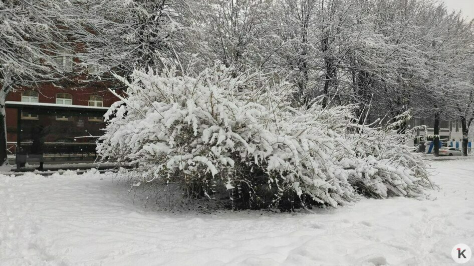 Дворники vs снег: противостояние стихии и коммунальных служб в Калининграде продолжается (фоторепортаж)   - Новости Калининграда | Фото: Владимир