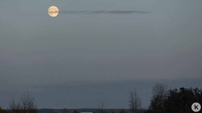 Обещанное калининградцам благоустройство Пенькового озера не закончат в этом году    - Новости Калининграда | Фото: Александр Подгорчук / Архив «Клопс»