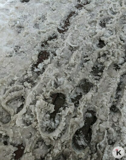 Дворники vs снег: противостояние стихии и коммунальных служб в Калининграде продолжается (фоторепортаж)   - Новости Калининграда | Фото: «Клопс»