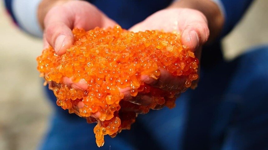 В Госдуме бьют тревогу из-за фейковых сайтов по продаже красной икры - Новости Калининграда | Фото: Александр Подгорчук / Архив «Клопс»