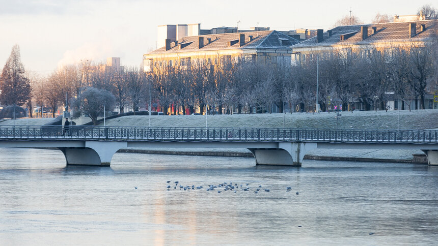 Гололёд и немного снега: синоптики рассказали о погоде в Калининграде и области 25 ноября - Новости Калининграда | Фото: Александр Подгорчук / «Клопс»