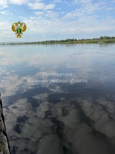 В реке Неман выявили опасные стоки, которые сбрасывает местный производитель бумаги и картона - Новости Калининграда | Фото: прокуратура Калининградской области 