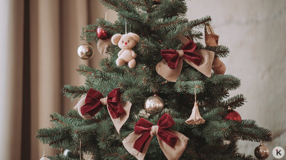 Аналитик дизайна интерьеров рассказал, как украсить ёлку, если надоели старые новогодние игрушки  - Новости Калининграда | Иллюстрация: Алиса Игонина/«Клопс» 