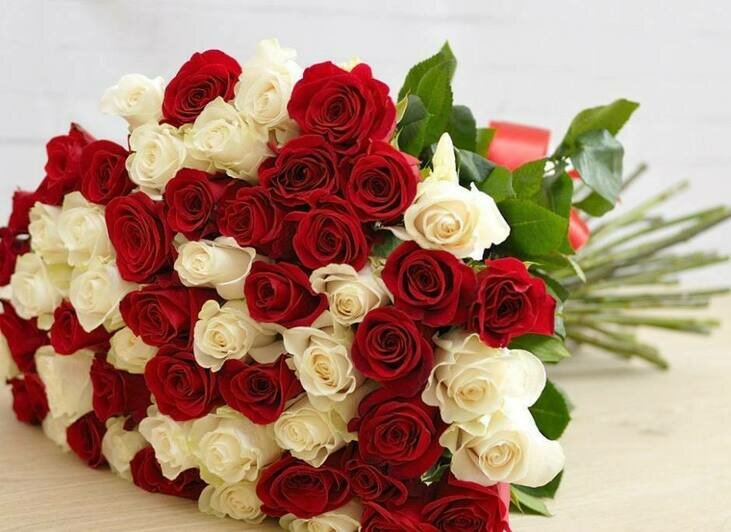 «Калинково» и «Розенштрассе» знают секрет трёх лепестков маминой молодости - Новости Калининграда