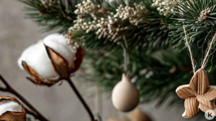 Аналитик дизайна интерьеров рассказал, как украсить ёлку, если надоели старые новогодние игрушки  - Новости Калининграда | Иллюстрация: Алиса Игонина/«Клопс» 