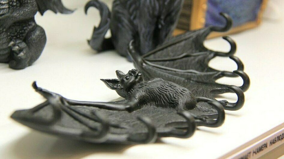 У нас потрясающая новость: магазин-барахолка «Твоя полка» возвращается в Калининград - Новости Калининграда