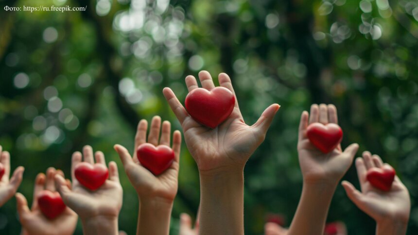 Как распознать мошенников под видом благотворителей и безопасно помогать нуждающимся - Новости Калининграда