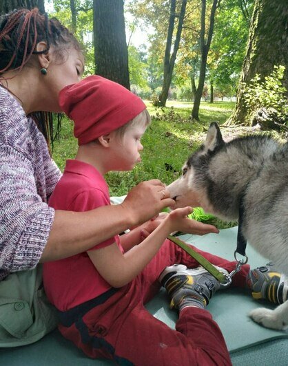Хвостатые друзья: где собаки-терапевты помогают бороться со стрессом в Калининграде - Новости Калининграда