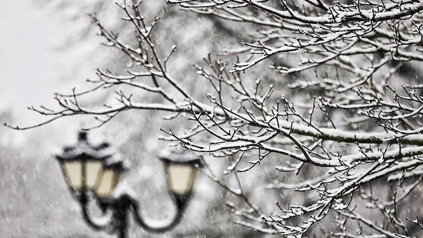 Южный циклон принесёт северные осадки: в Калининградской области 26 ноября ожидается снегопад - Новости Калининграда | Фото: Александр Подгорчук / Архив «Клопс»
