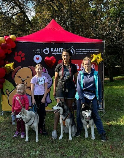 Хвостатые друзья: где собаки-терапевты помогают бороться со стрессом в Калининграде - Новости Калининграда