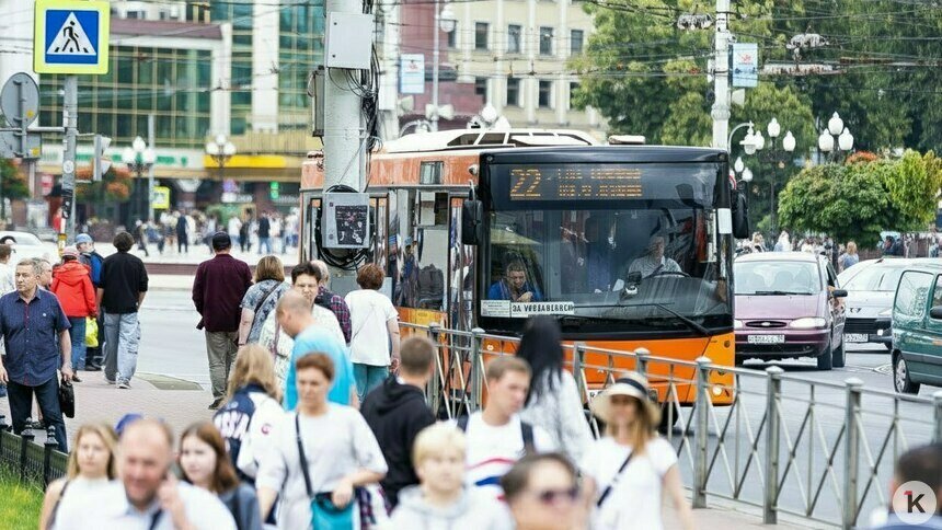 В Калининграде запустят новый автобусный маршрут - Новости Калининграда | Фото: Александр Подгорчук / Архив «Клопс»