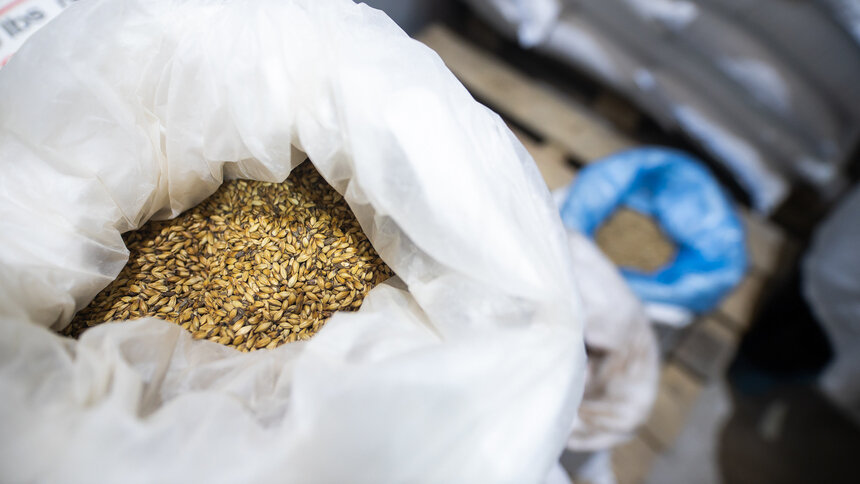 Калининградские фермеры умаслили Китай и отсыпали зерна ОАЭ - Новости Калининграда | Фото: Александр Подгорчук / Архив «Клопс»